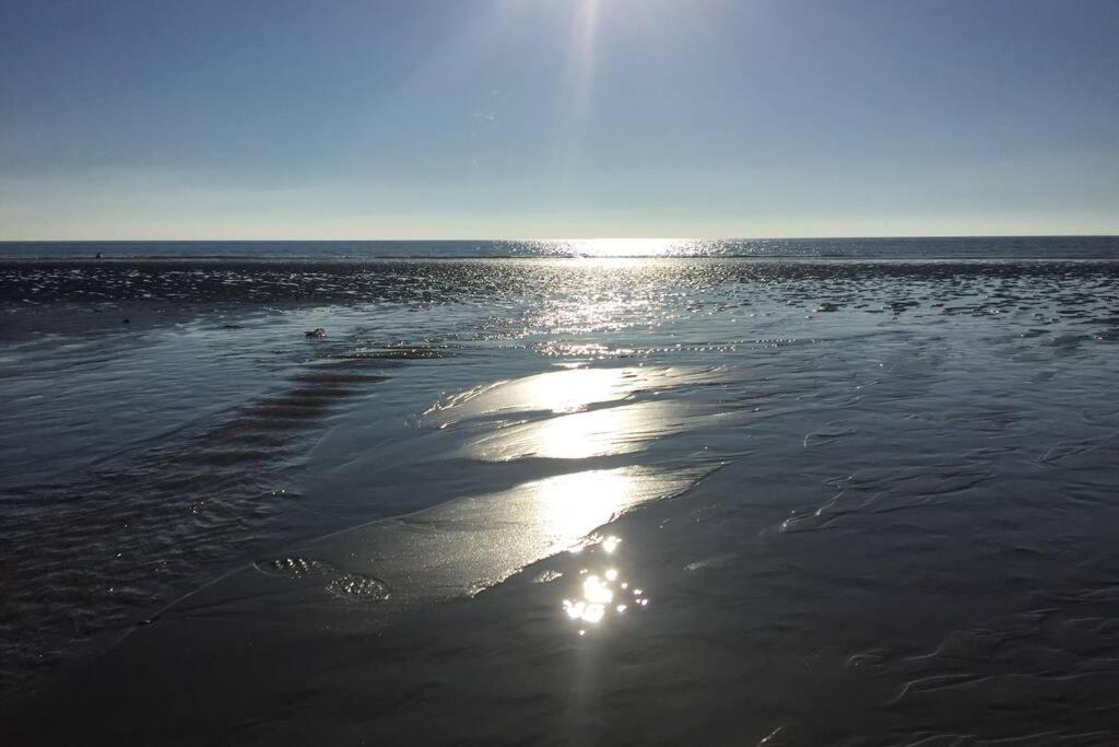 Hendre Fechan Cottage, Nr Barmouth, Pets Welcome, Beautiful Views. *