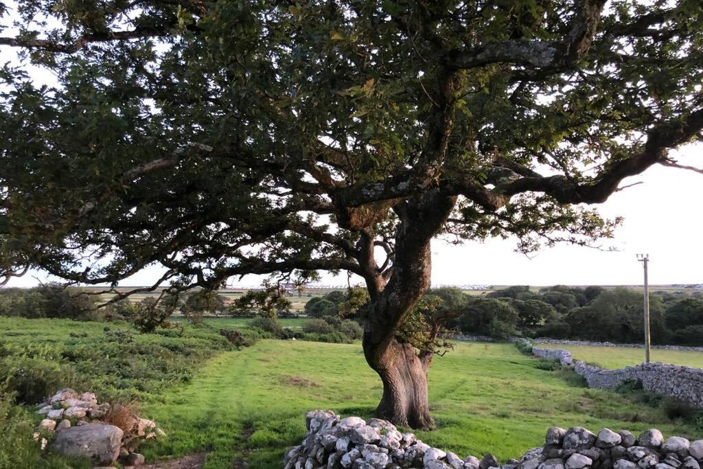 Apartment Hendre Fechan Cottage, Nr Barmouth, Pets Welcome, Beautiful Views. Llanddwywe