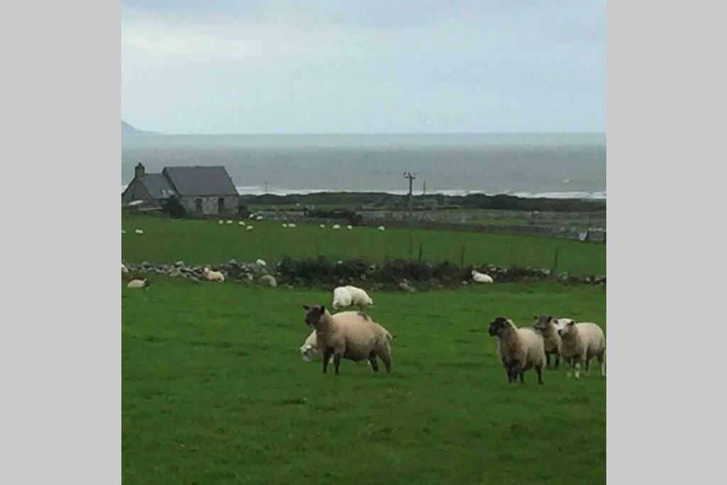 Apartamento Hendre Fechan Cottage, Nr Barmouth, Pets Welcome, Beautiful Views. *